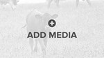 16:9 Ratio Thumbnail Media