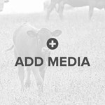 1:1 Ratio Thumbnail Media