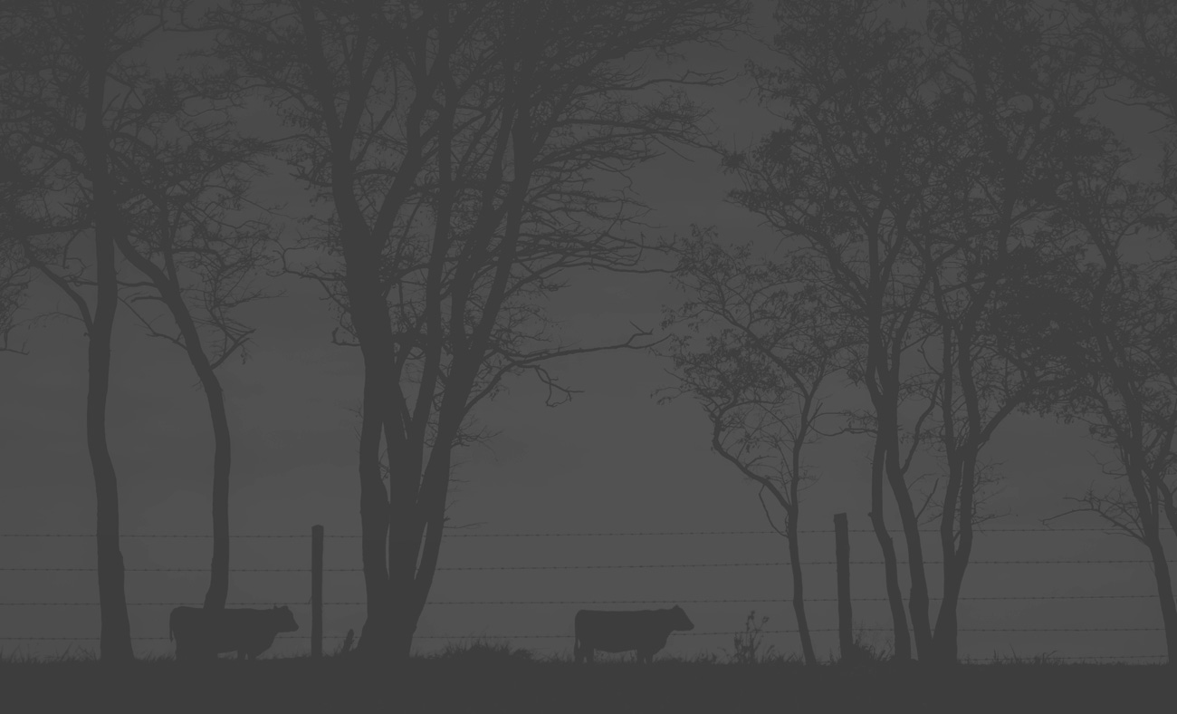 Grayscale image of cattle with trees